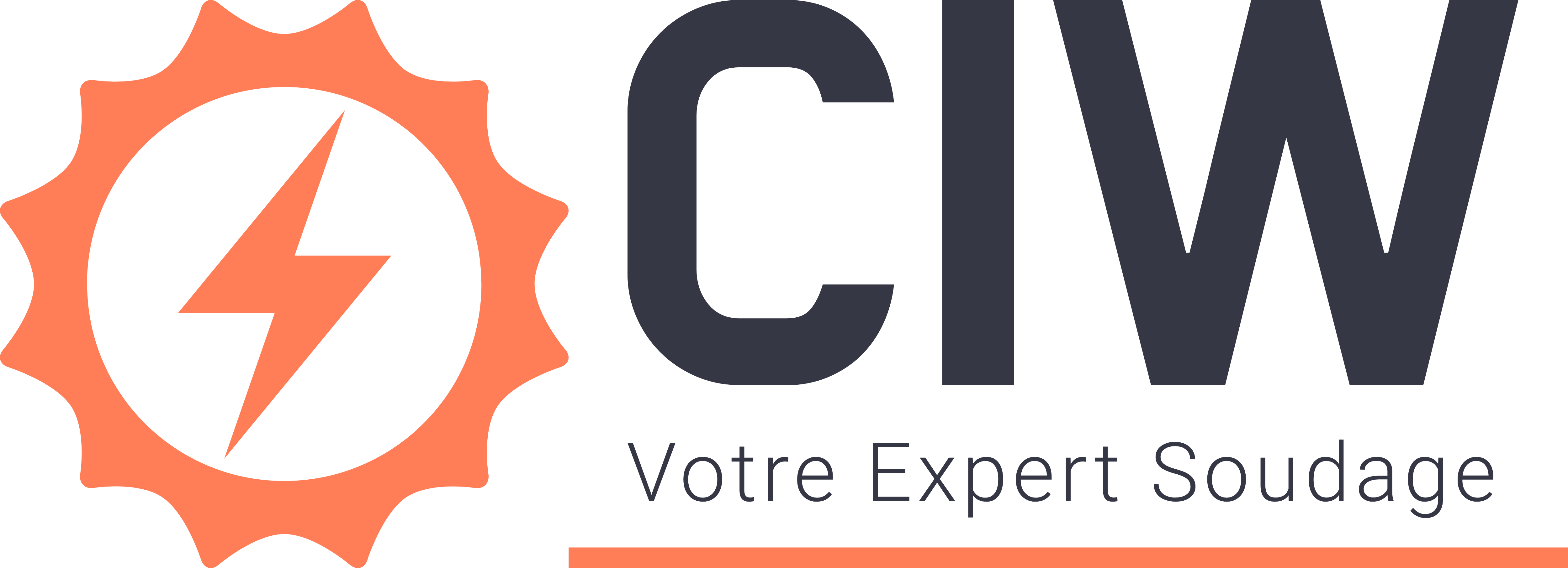 Logo CIW sans fond